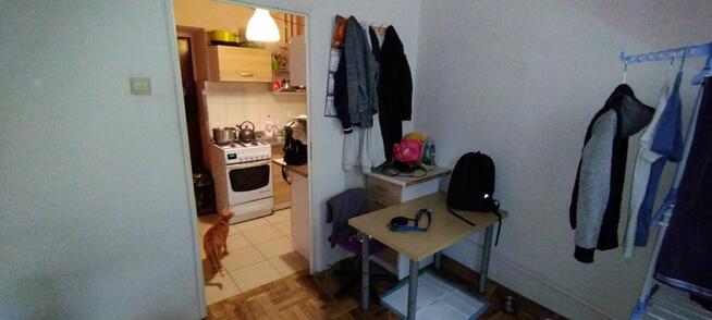 M2 (20 m) z KW z centralnym ogrz. od właściciela