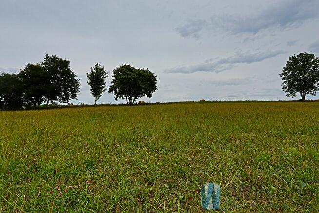 Działka inwestycyjna Osłonino gm. Puck, Leśna