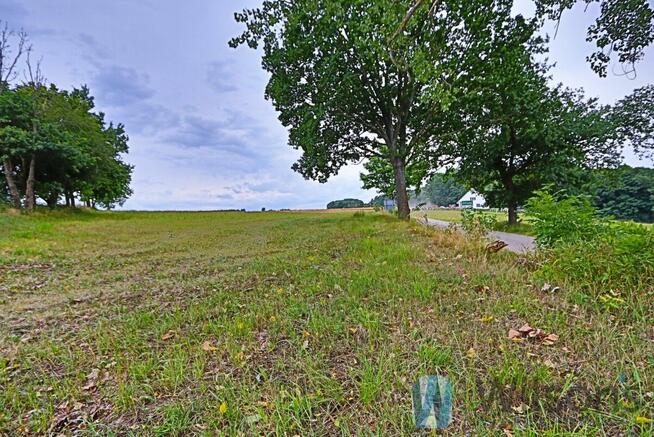 Działka inwestycyjna Osłonino gm. Puck, Leśna