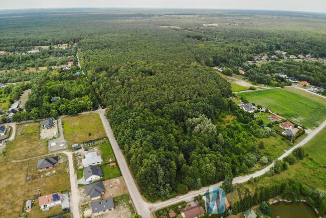 Działka budowlana Marianów gm. Leszno, Aleja Róż