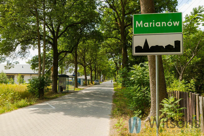 Działka budowlana Marianów gm. Leszno, Aleja Róż