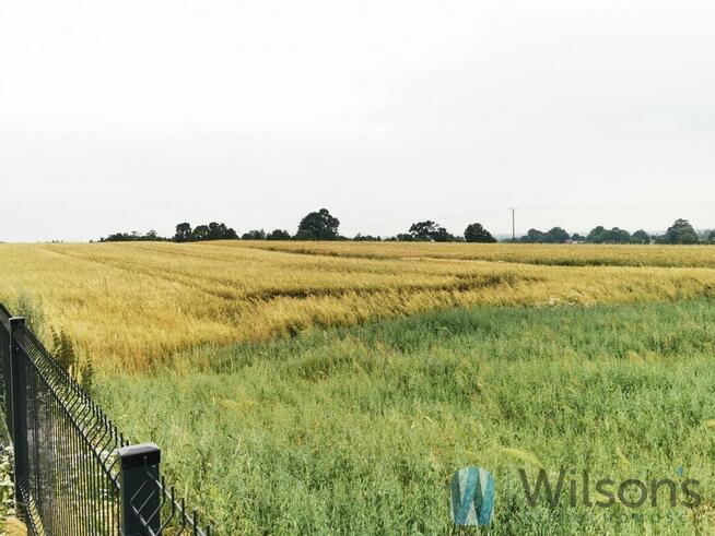 Działka inwestycyjna Józefów-Pociecha gm. Jastków,