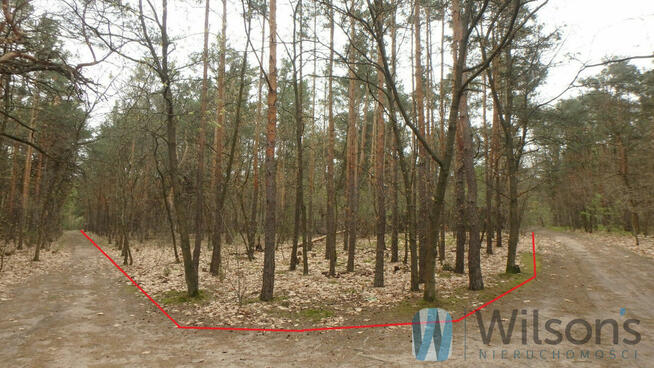 Działka budowlana Warszawa gm. Wawer Wawer, Międzylesie, Kociszewskich