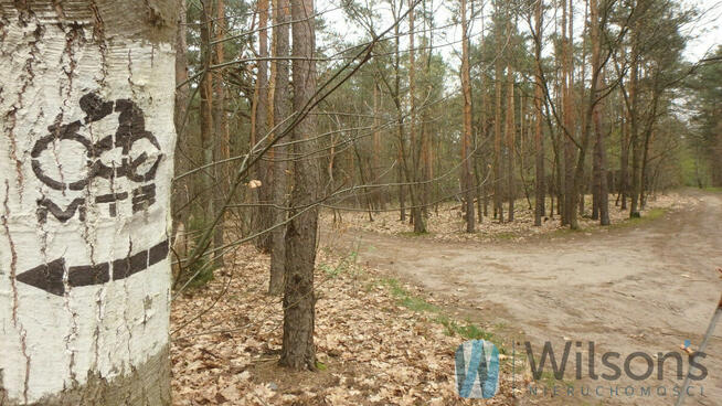 Działka budowlana Warszawa gm. Wawer Wawer, Międzylesie, Kociszewskich