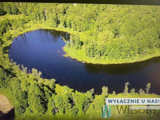 Działka leśna Malinka gm. Wydminy,