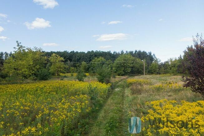 Działka budowlana Łomianki Dąbrowa Leśna, Zachodnia