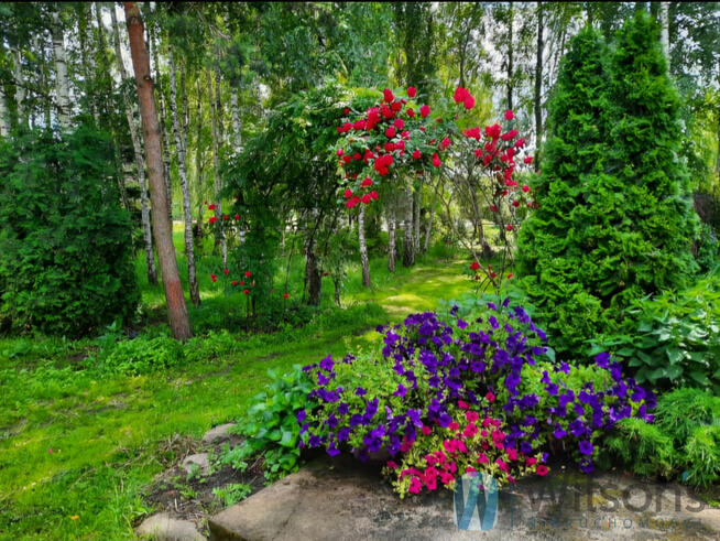 Dom Józefin gm. Poświętne,