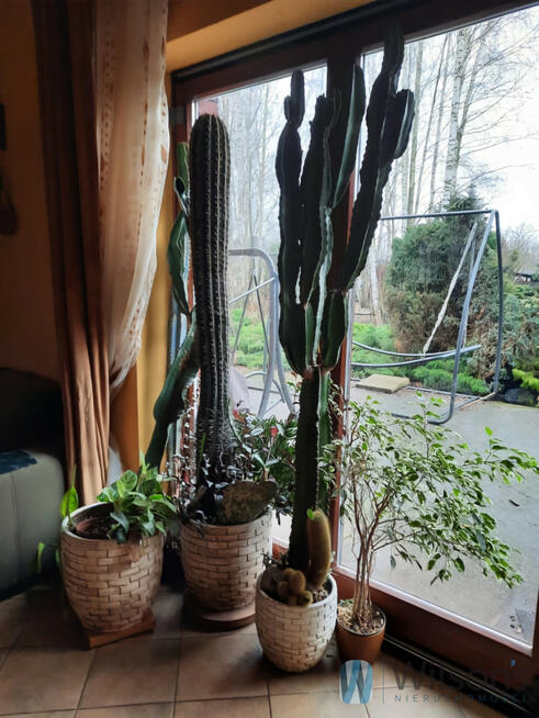 Dom Józefin gm. Poświętne,