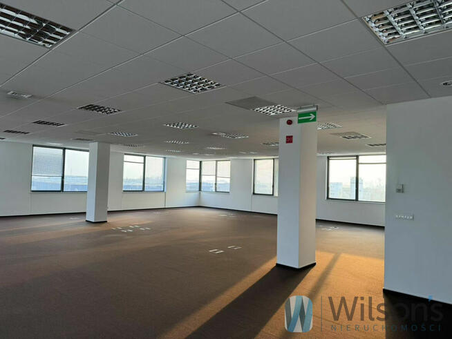 Lokal użytkowy Warszawa gm. Białołęka Białołęka, Annopol,