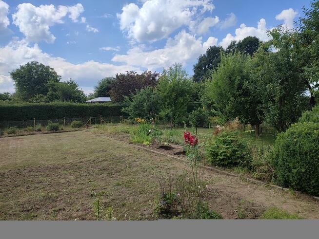 Sprzedam działkę ogrodniczą