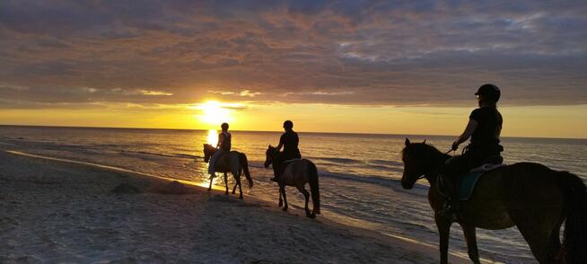 Wakacje nad morzem w Białym Domu w Sarbinowie