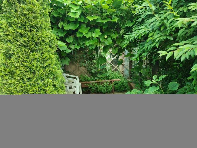 Sprzedam działkę ogrodniczą