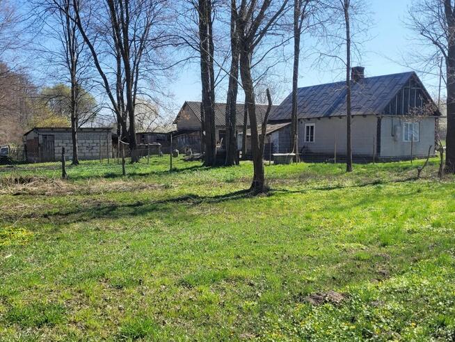 Sprzedam siedlisko w Górznie