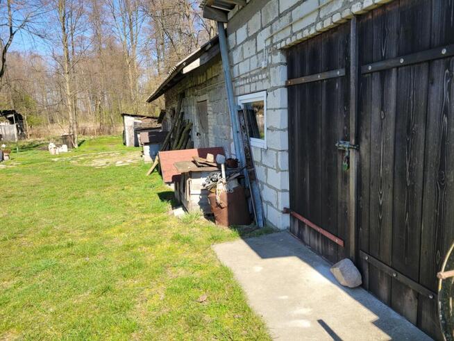 Sprzedam siedlisko w Górznie