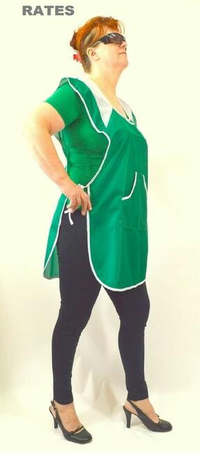 Fartuchy stylonowe Motylek cena 13,75 zł.Producent