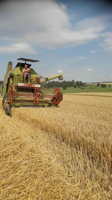 Sprzedam CLAAS mercator