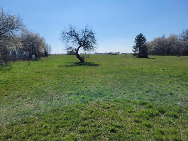 Sprzedam siedlisko w Górznie