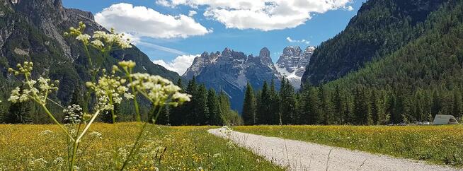 Poszukuję fajnej dziewczyny z Wrocławia lub z Dolnego Śląska