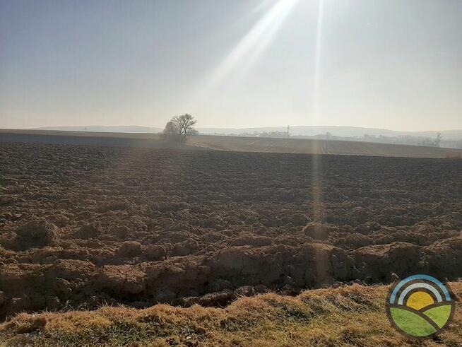 Radwanowice gm. Zabierzów - działka rolna 6300m2