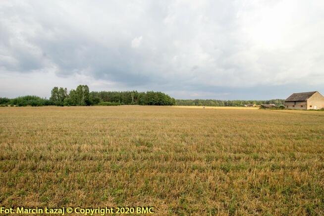 Działka budowlana Pawełki gm. Kochanowice,