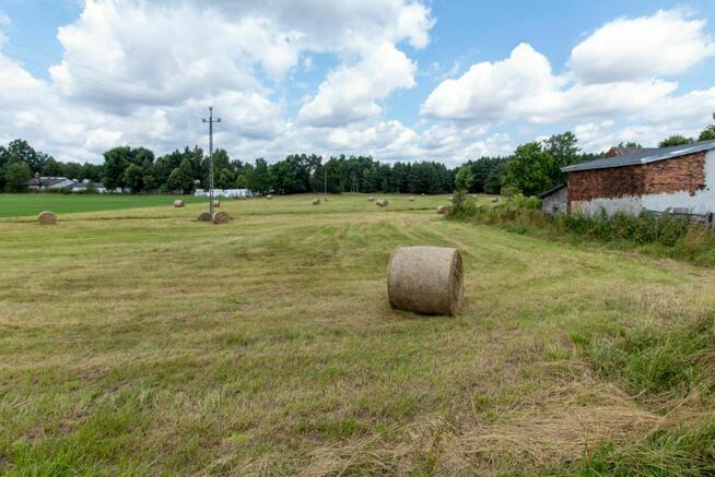 Działka budowlana Woźniki Dyrdy, Asfaltowa