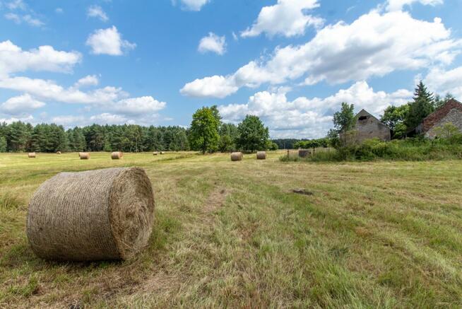 Działka budowlana Woźniki Dyrdy, Asfaltowa