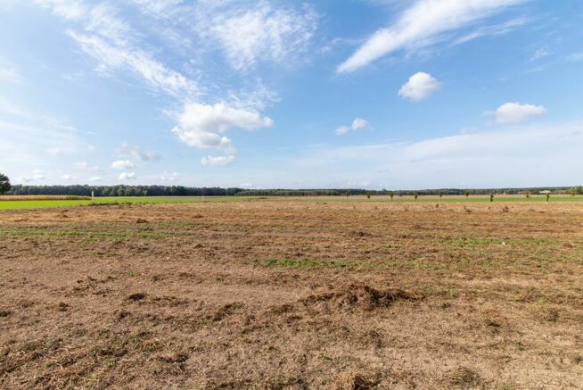 Działka budowlana Sieraków Śląski gm. Ciasna, Osiedlowa