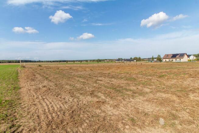 Działka budowlana Sieraków Śląski gm. Ciasna, Osiedlowa