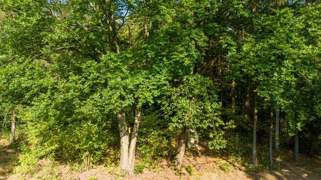 Działka budowlana Kamińsko gm. Przystajń,