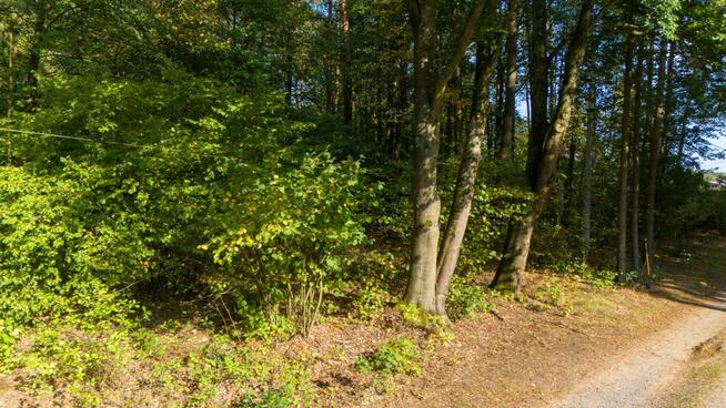 Działka budowlana Kamińsko gm. Przystajń,