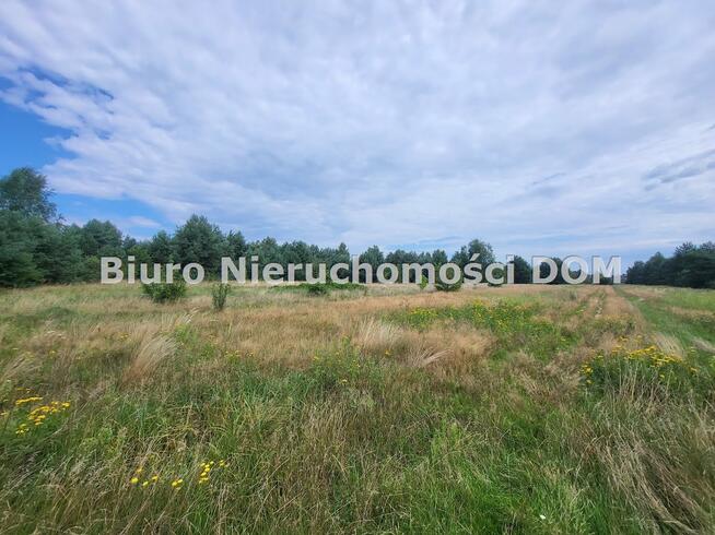 Działka siedliskowa Konopiska