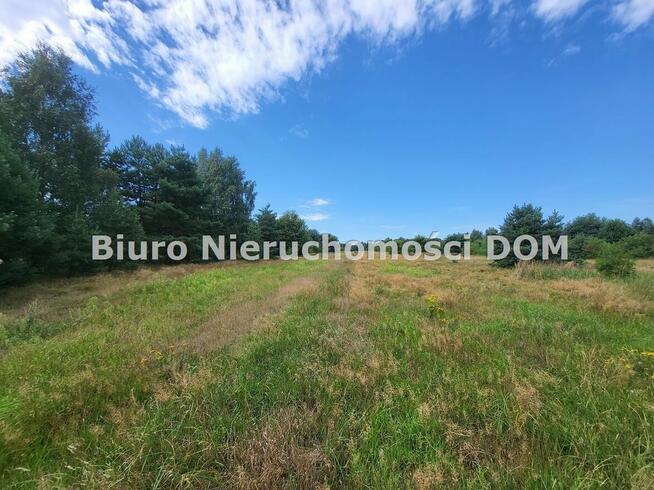 Działka siedliskowa Konopiska