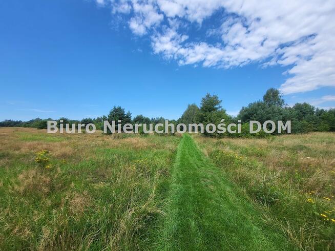 Działka siedliskowa Konopiska