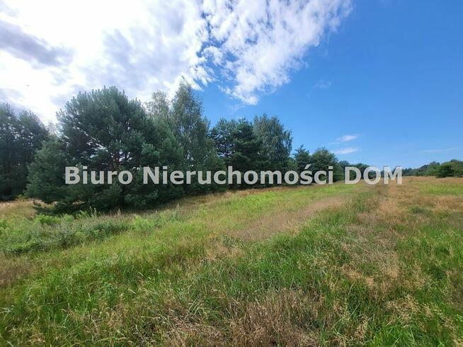 Działka siedliskowa Konopiska