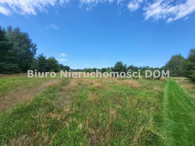 Działka siedliskowa Konopiska