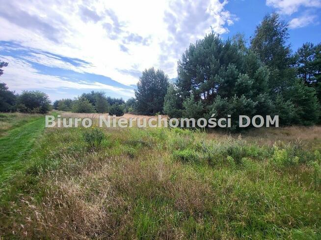 Działka siedliskowa Konopiska