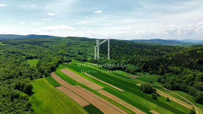 Działka leśna Bednarka gm. Lipinki