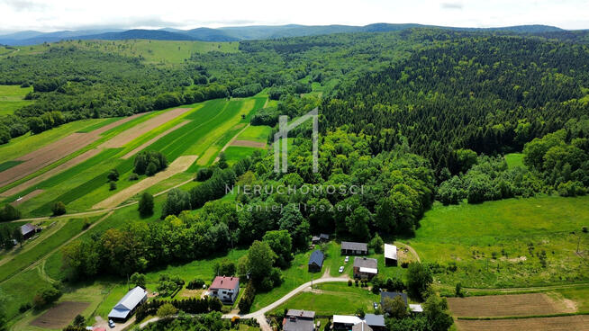 Działka leśna Bednarka gm. Lipinki