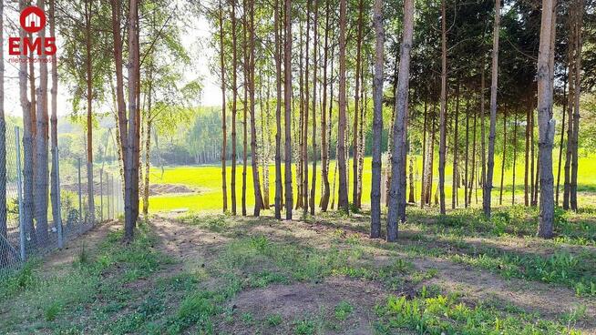 Działka budowlana Krynice gm. Dobrzyniewo Duże