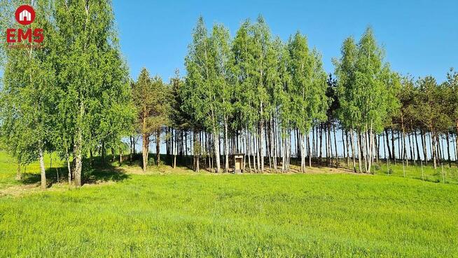 Działka budowlana Krynice gm. Dobrzyniewo Duże