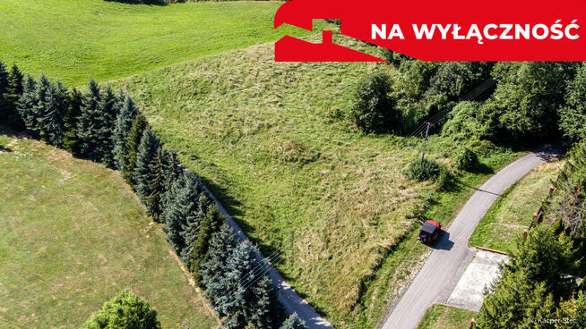 Na sprzedaż działka idealna pod winnice