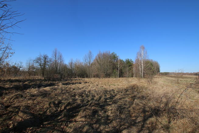 Działka rolno-budow. Wola Mieczysławska g.Lubartów