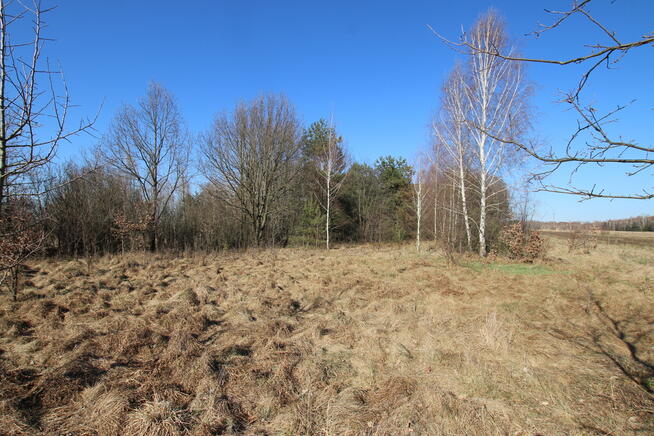 Działka rolno-budow. Wola Mieczysławska g.Lubartów