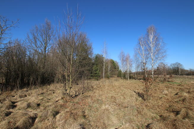 Działka rolno-budow. Wola Mieczysławska g.Lubartów