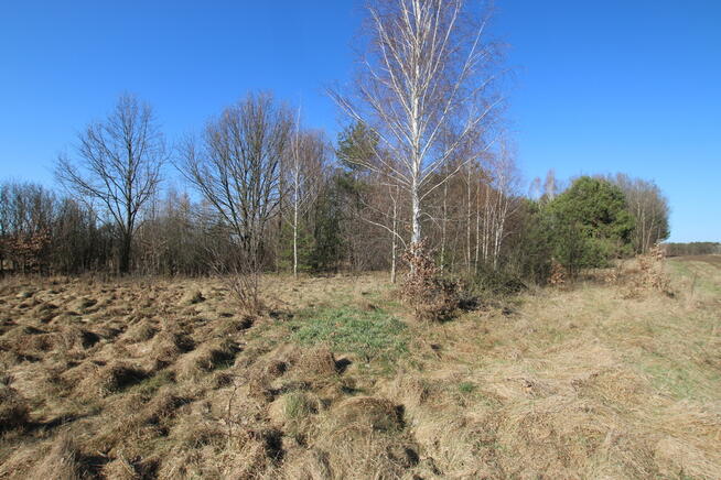 Działka rolno-budow. Wola Mieczysławska g.Lubartów