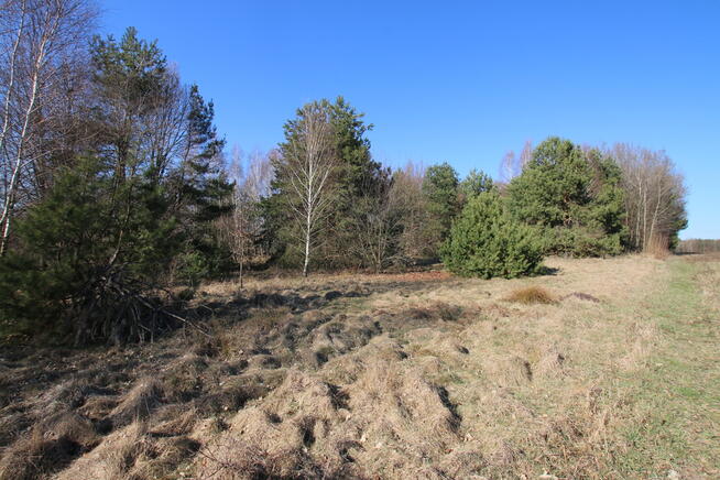 Działka rolno-budow. Wola Mieczysławska g.Lubartów