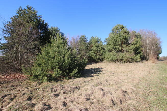 Działka rolno-budow. Wola Mieczysławska g.Lubartów