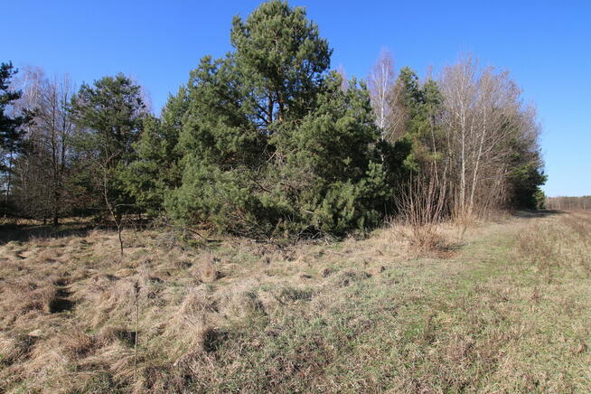 Działka rolno-budow. Wola Mieczysławska g.Lubartów