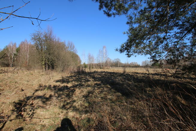 Działka rolno-budow. Wola Mieczysławska g.Lubartów