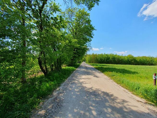 Działka budowlana Wiązowna